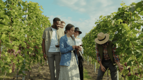 L’oenotourisme pourrait-il sauver la filière vitivinicole française?